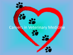 Vet Med Careers PowerPoint