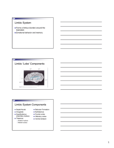 Limbic System Limbic `Lobe` Components Limbic System Components
