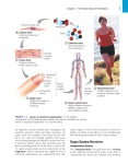 Organ System Overview