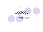 Ecology Food Chains and Food Webs