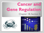 Cancer and Gene Regulation
