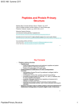 Peptides and Protein Primary Structure