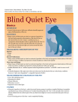 blind_quiet_eye
