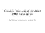 Ecological Processes and the Spread of Non