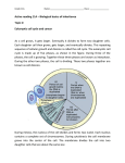 U5-Topic2_Eukaryotic cell cycle and cancer