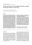 Changes in the expression of the carbohydrate