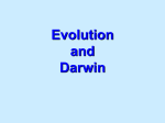 Darwin and Evolution