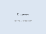 Enzymes