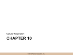 Chapter 10 - Clayton State University