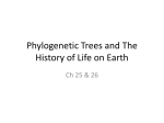Ch 25 and 26 Phylogeny and The History of Life on Earth