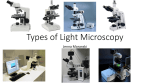 Light Microscopy 2