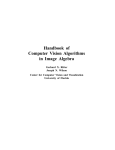 Handbook of Computer Vision Algorithms in Image Algebra