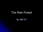 The Rain Forest By: JMD 7H