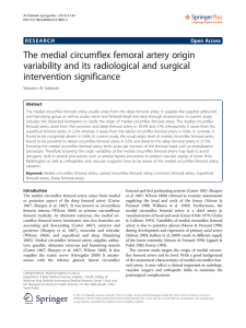 The medial circumflex femoral artery origin variability