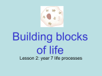 Building blocks of life