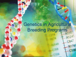 Genetics in Agricultural Breeding Programs