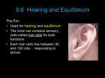 9.6 Hearing and Equilibrium