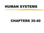 human systems