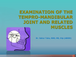 Examination of the tempro-mandibular joint and related muscles