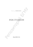 peritoneum - Белорусский государственный медицинский