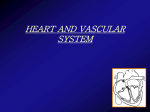 heartsystem