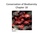 Chapter 18: Conservation of Biodiversity Ppt