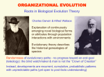ORGANIZATIONAL_EVOLUTION
