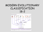 Modern Taxonomy