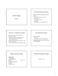 Endocrinology: Endocrine System Function Nervous vs. Endocrine