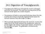 25.1 Digestion of Triacylglycerols