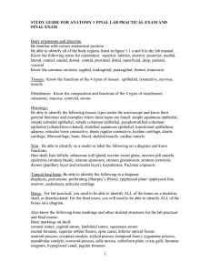 Anatomy of the Reproductive System (Chapter 42) Lab Objectives