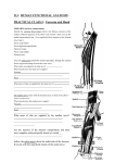 213: human functional anatomy