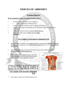 NERVE SUPPLY OF ABDOMEN