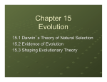 Chapter 15 Evolution KL updated