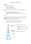 Cell-Division