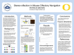 Symposium Poster - uospur