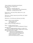 Neuron Function notes