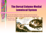 The Dorsal Column-Medial Lemniscal System