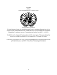 Amicus Brief Americas United Nations World Court of Historical
