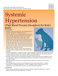 systemic_hypertension