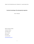 Functional morphology of the pharyngeal jaw apparatus