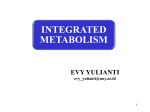 Carbohydrate metabolism