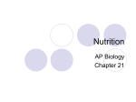 Chapter 21. Nutrition