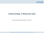 Endocrinology: A Molecular View
