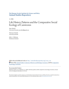 Life History Patterns and the Comparative Social Ecology of