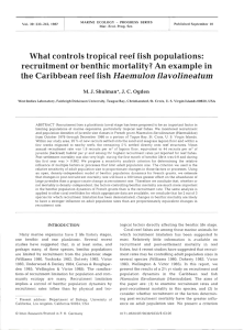 What controls tropical reef fish populations
