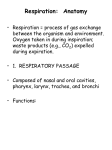 Respiration: Anatomy