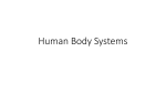 Human Body Systems PPT