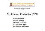 Net Primary Production (NPP)