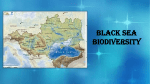 Black sea Biodiversity